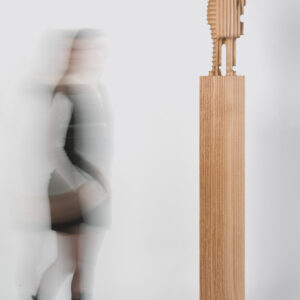 reproduction photographique - Xavier Veilhan - Constance n°3 - 2024