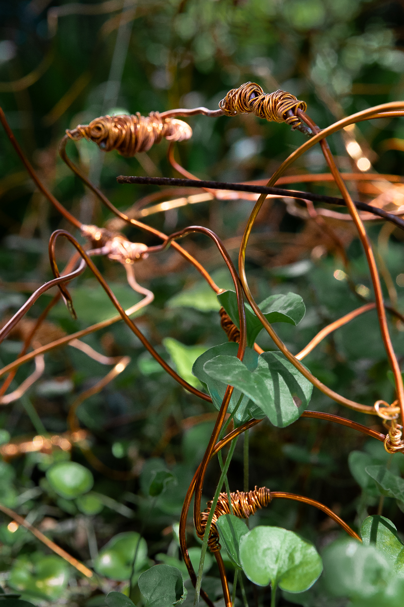 Dominique Lacloche, installation dans le jardin du Palazzo Soranzo Cappello, Venise